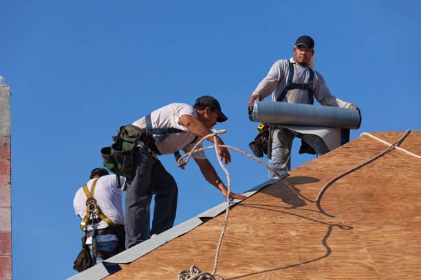 Best Roof Gutter Cleaning  in Winston Salem, NC